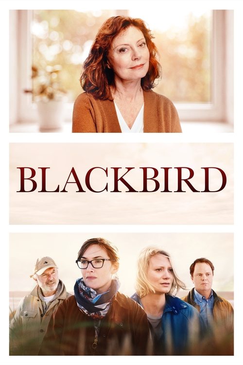 Movie poster for Blackbird (2019)