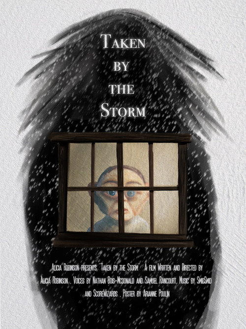 Movie poster for Taken by the Storm