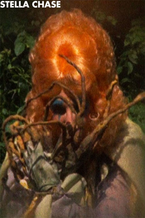 Movie poster for Stella Chase (1974)