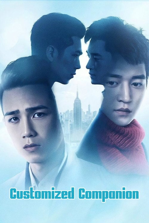 Movie poster for Customized Companion (2017)