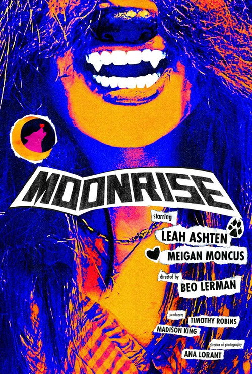 Movie poster for Moonrise (2024)