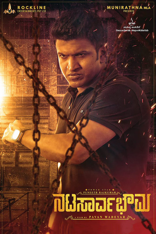 Movie poster for Natasaarvabhowma (2019)