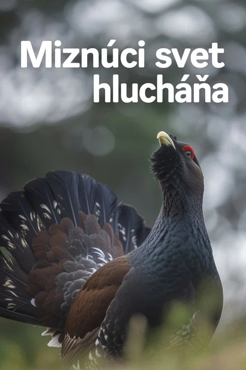 Movie poster for Disappearing World of the Capercaillie (2023)