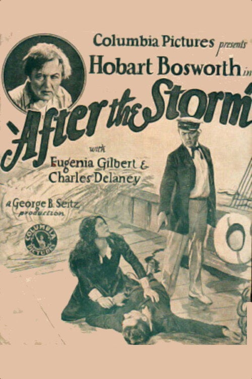 Movie poster for After the Storm (1928)