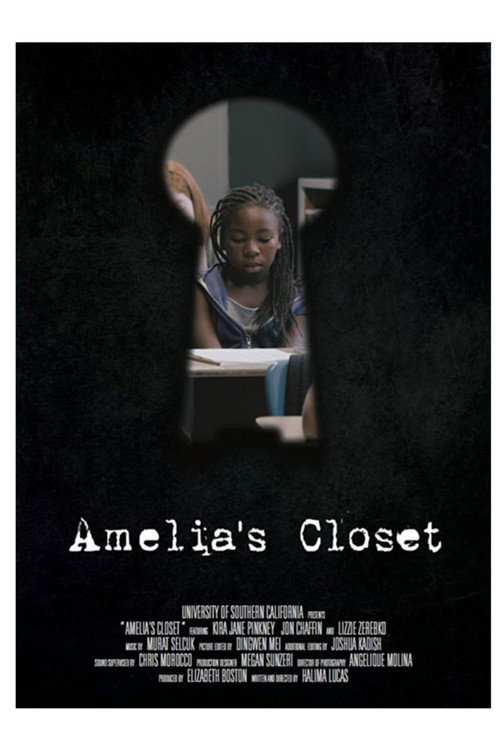 Movie poster for Amelia's Closet (2016)
