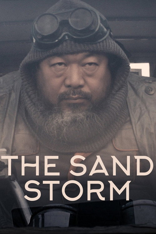 Movie poster for The Sand Storm (2014)