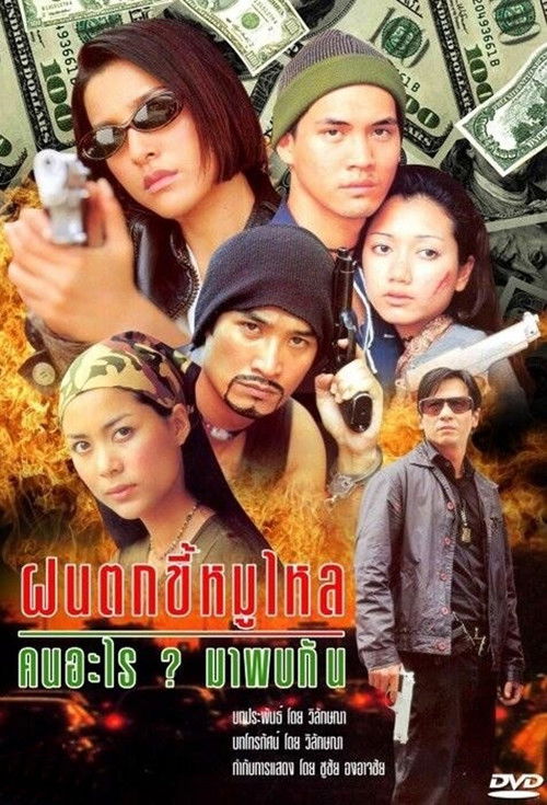 Fon Tok Kee Moo Lai poster