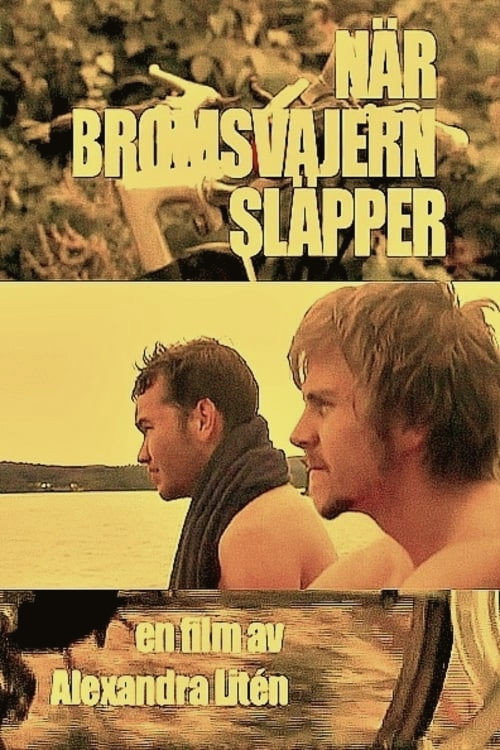 Movie poster for No Brakes (2008)