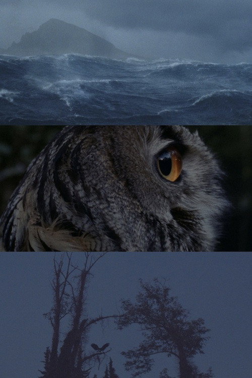 Movie poster for Places We'll Breathe (2022)