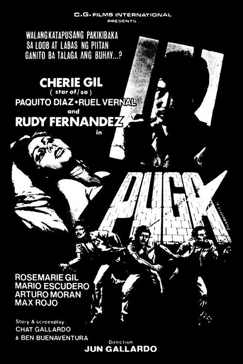 Movie poster for Puga (1980)