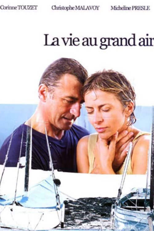 Movie poster for La Vie au grand air (2002)