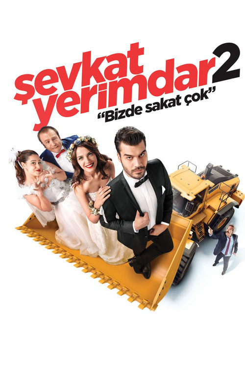 Movie poster for Şevkat Yerimdar 2 (2016)