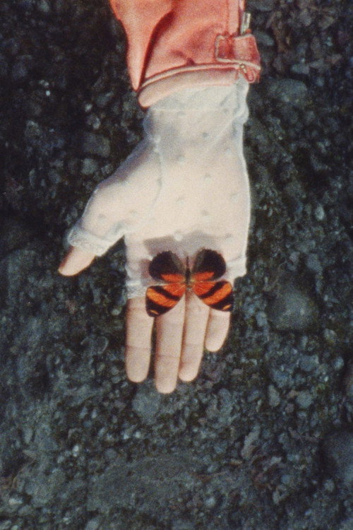 Movie poster for A Monster Called Love (2023)