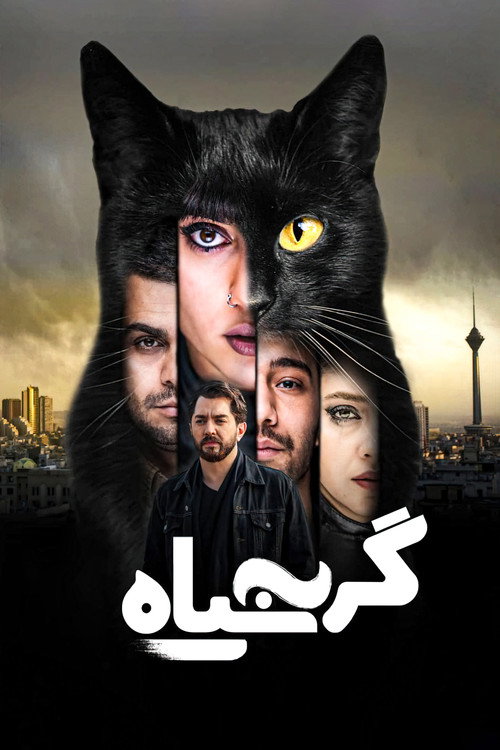 Movie poster for The Black Cat (2021)