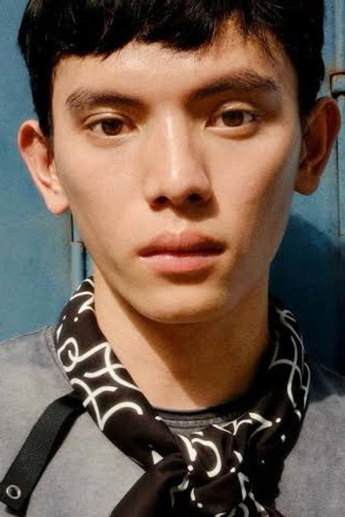 Photo of Trần Thế Mạnh, Acting