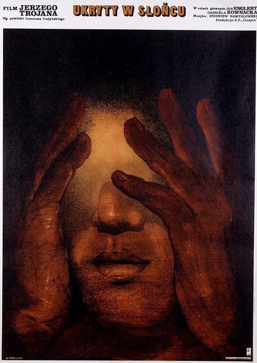 Movie poster for Ukryty w słońcu (1980)