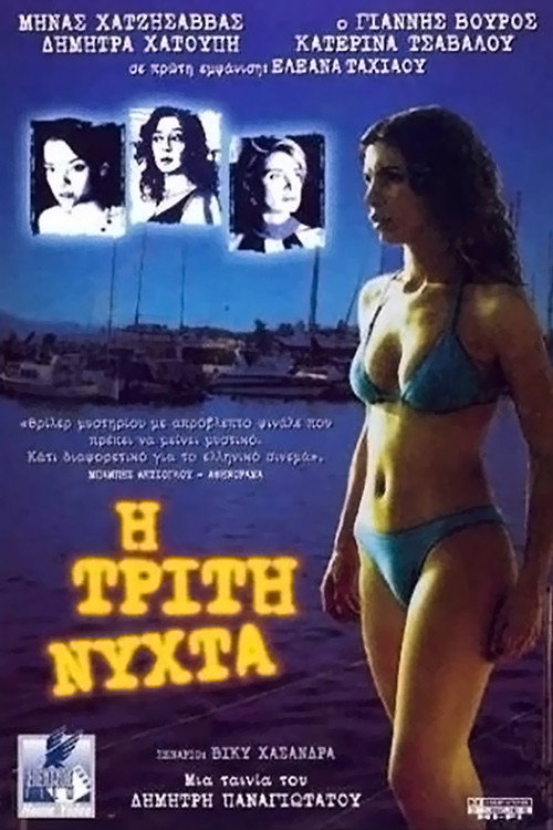 Movie poster for The Third Night (2003)