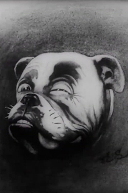 Movie poster for Studdy's War Cartoons (1915)