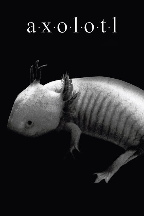 Movie poster for Axolotl (2018)