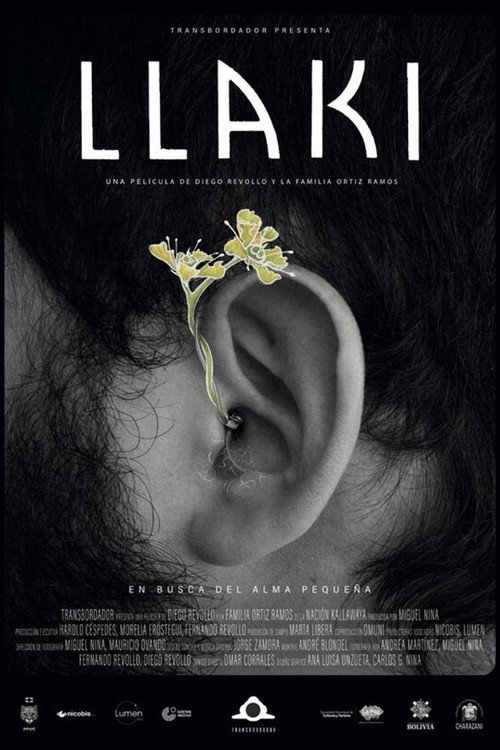 Movie poster for Sorrow (2023)