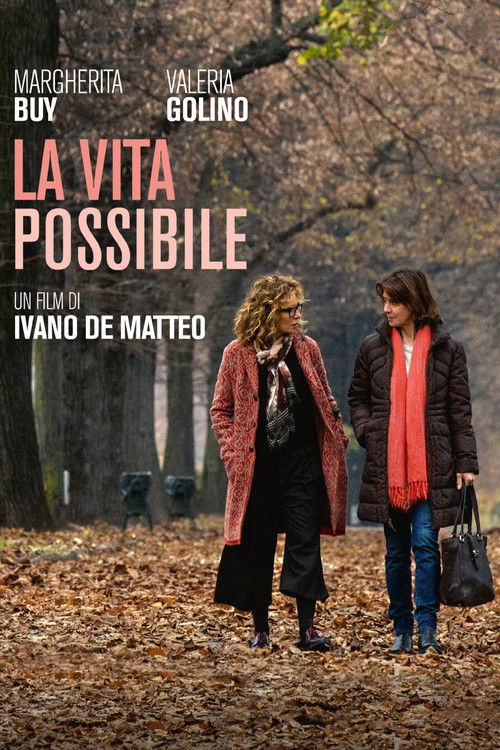 Movie poster for La vita possibile (2016)