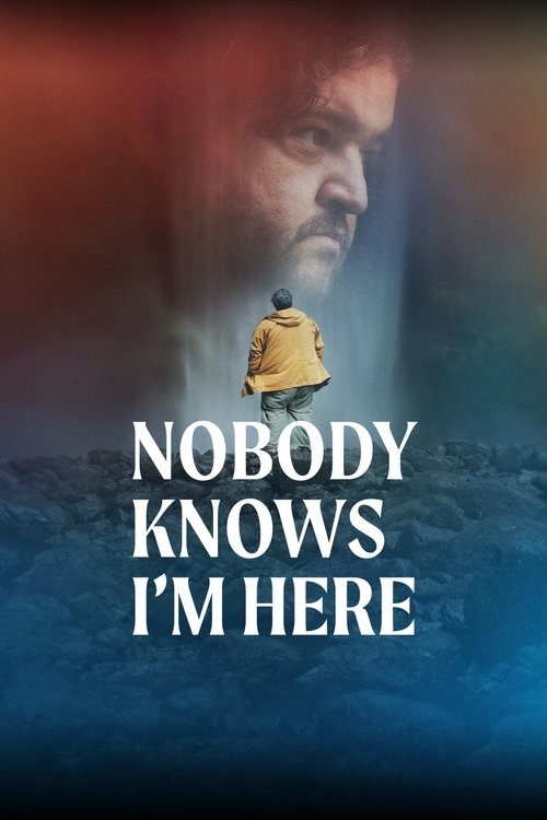 Movie poster for Nobody Knows I'm Here (2020)