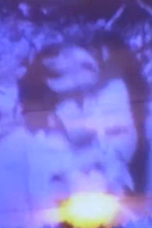 Movie poster for A Small Film for Stan Brakhage and Larry Jordan (2004)