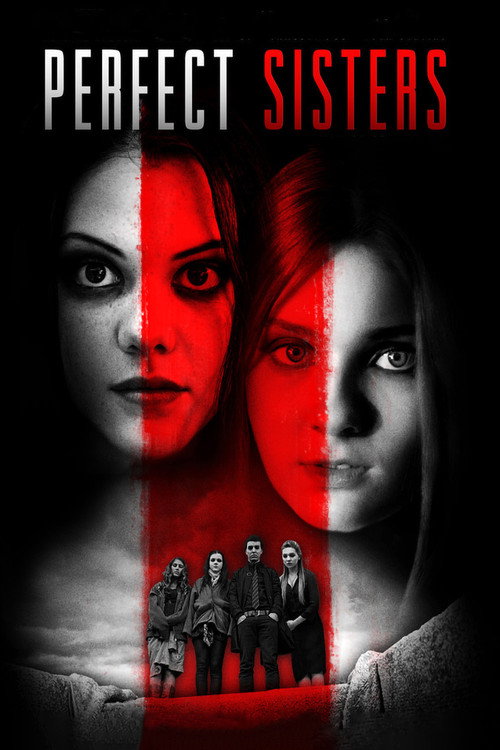 Movie poster for Perfect Sisters (2014)