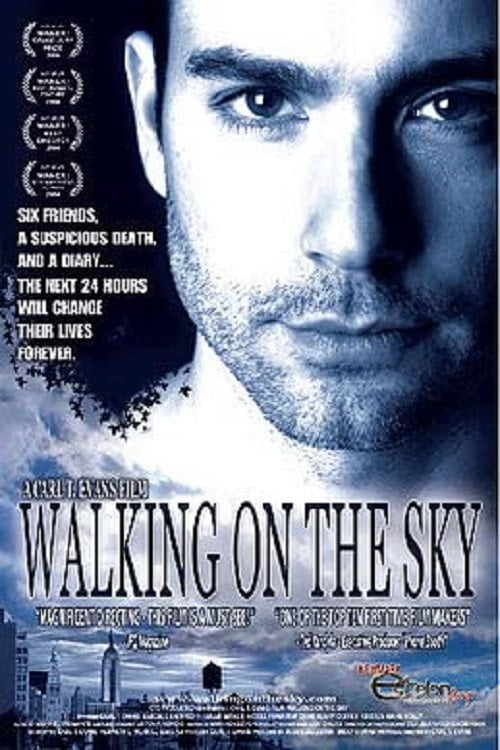 Movie poster for Walking on the Sky (2005)