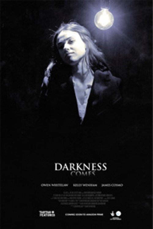 Movie poster for Darkness Comes (2018)
