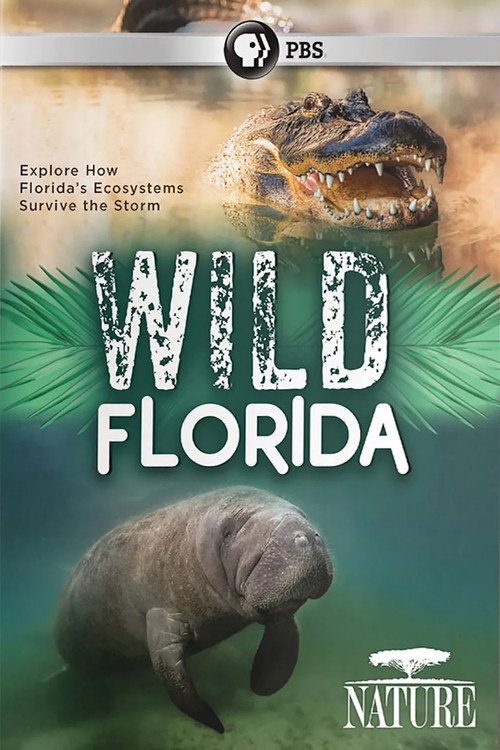 Movie poster for Wild Florida (2020)