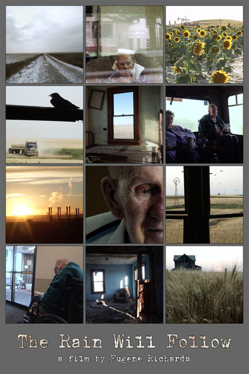 Movie poster for The Rain Will Follow (2016)