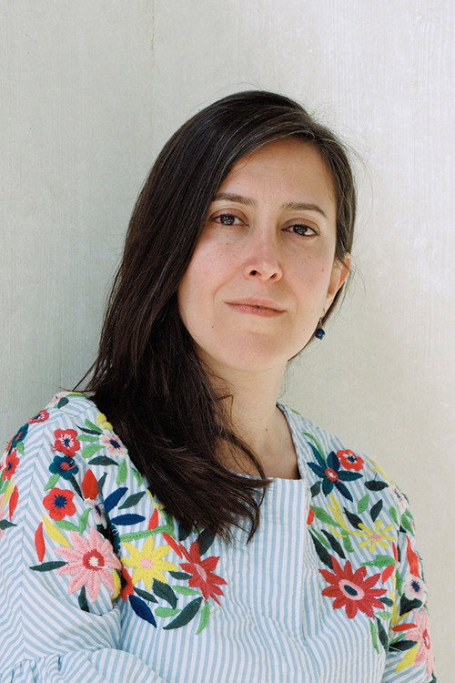 Photo of Shirin Barghnavard, Directing