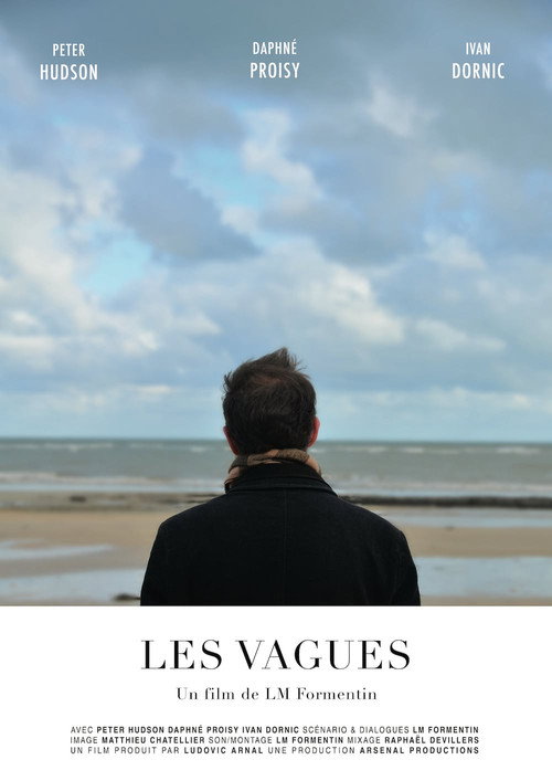 Movie poster for Waves (2018)