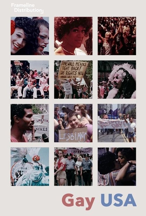 Movie poster for Gay USA (1977)