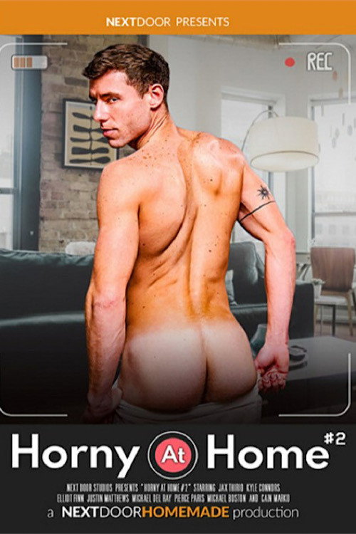Movie poster for Horny at Home 2 (2023)