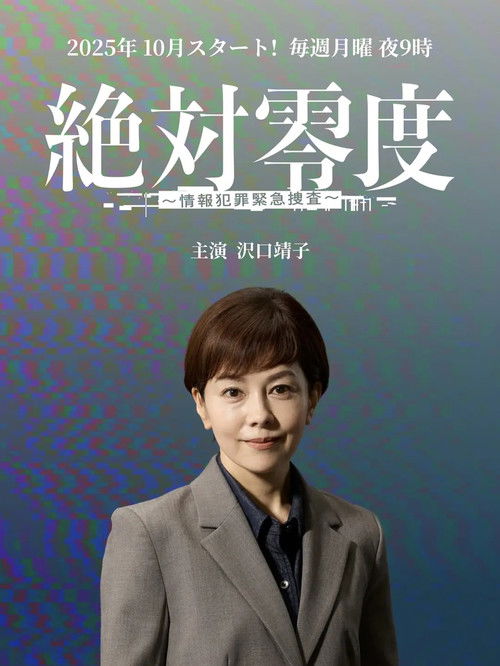 絶対零度～情報犯罪緊急捜査～ poster