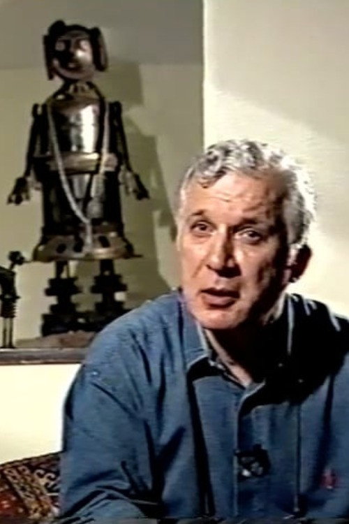 Movie poster for A Season for Cinema: Fictional reality, documentary fiction (1998)