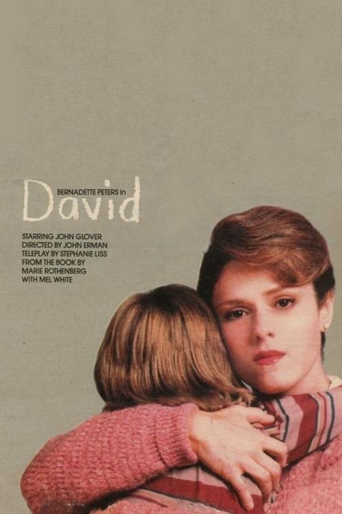 Movie poster for David (1988)