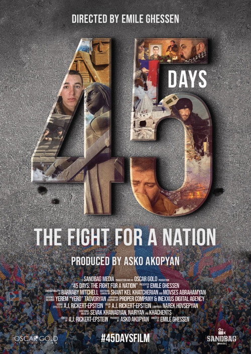 Movie poster for 45 Days: The Fight for a Nation (2021)