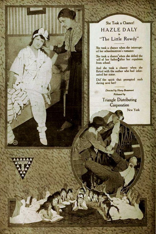Movie poster for The Little Rowdy (1919)