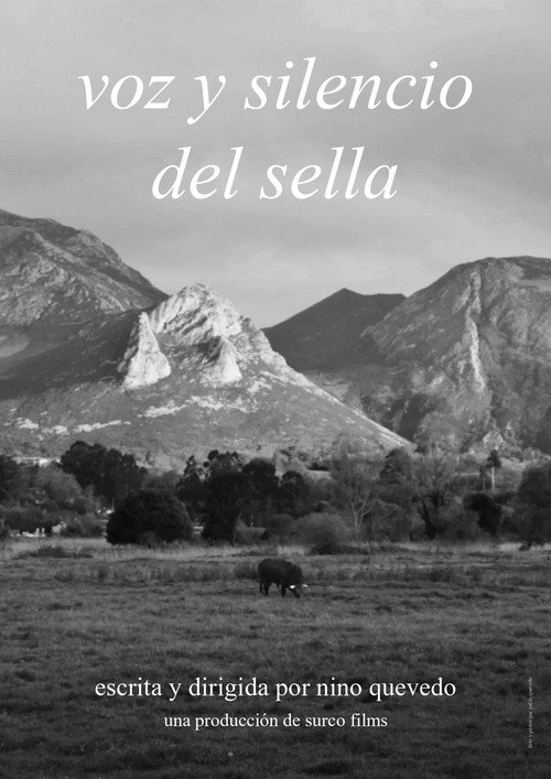 Movie poster for Voice and silence of the Sella (1968)