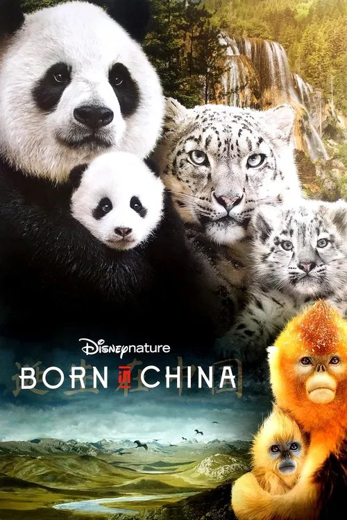 Movie poster for Born in China (2016)