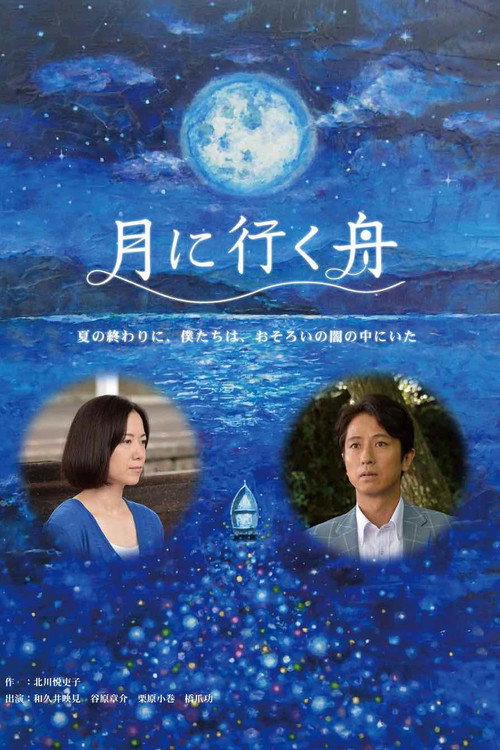 Movie poster for Boat to the Moon (2014)