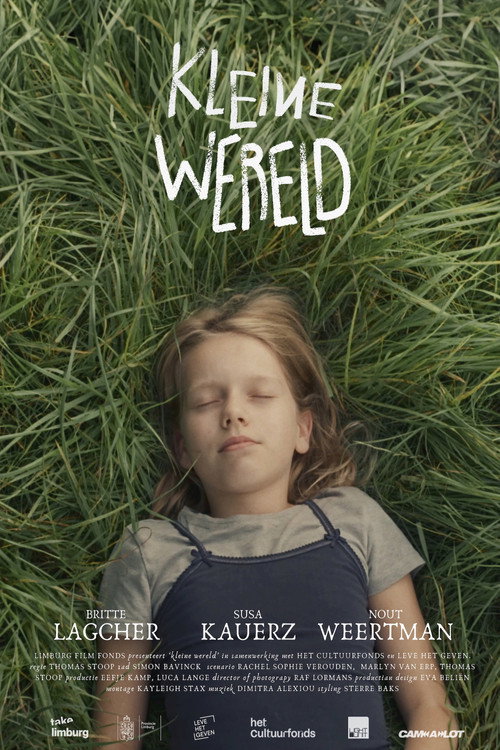 Movie poster for Small World (2025)