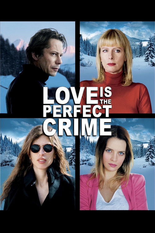 Movie poster for Love Is the Perfect Crime (2013)