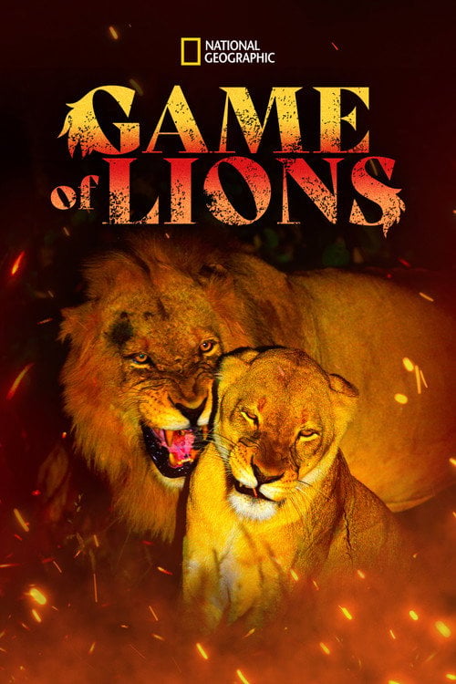 Movie poster for Game of Lions (2013)