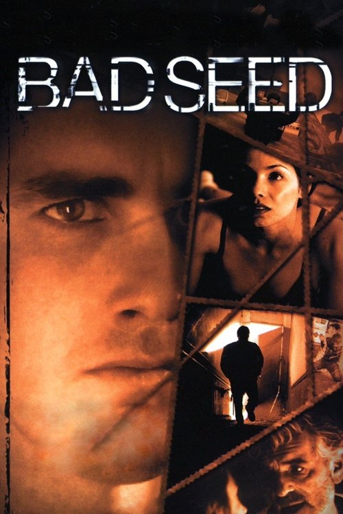 Movie poster for Bad Seed (2000)