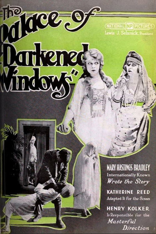 Movie poster for The Palace of Darkened Windows (1920)