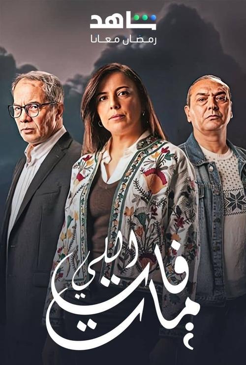 Series poster for Elli Fat Mat (2025)
